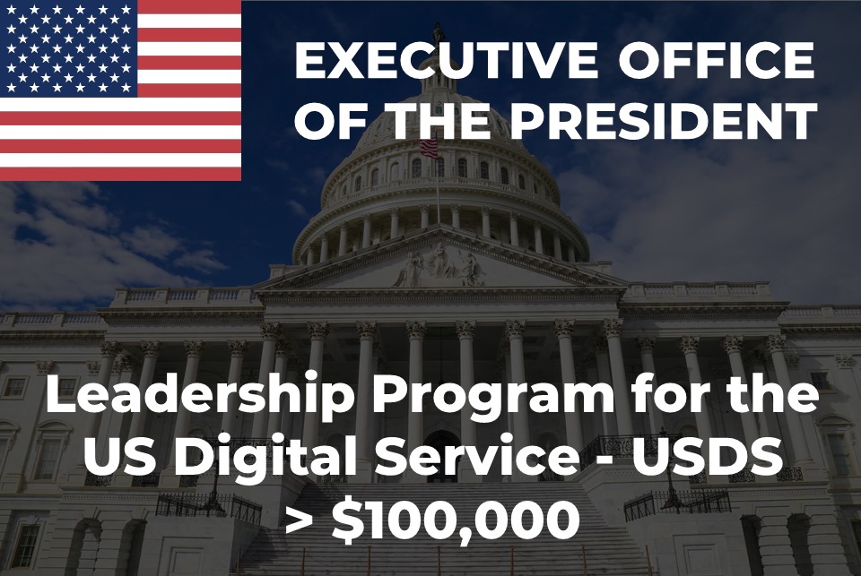 Proposal for a Leadership Program RFP US Digital Service BizCusp